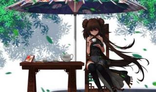 dnf守护者新职业精灵骑士龙骑士吗 dnf什么时候出新职业