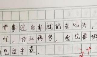 作文我的心爱之物