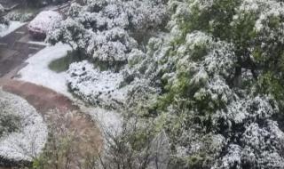 三月下雪有什么说法 三月下雪有什么说法