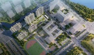 软件设计师考试报名