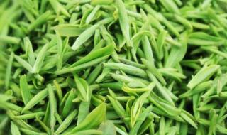 信阳毛尖什么茶 信阳毛尖什么茶