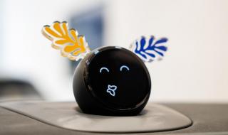 2024答案之书 2024答案之书