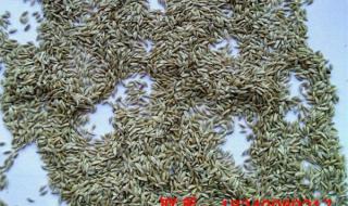 邮政快递是空运吗 邮政托运价格表