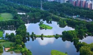 深圳候鸟屋酒店式公寓 深圳候鸟屋酒店式公寓