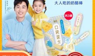 伊利奶酪棒 伊利奶酪棒