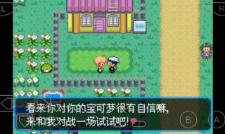 口袋妖怪绿宝石代码 口袋妖怪绿宝石代码