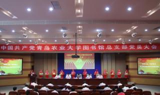 青岛大学图书馆 青岛大学图书馆