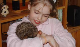 我的刺猬女孩大结局 我的刺猬女孩大结局