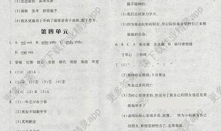 三年级下册语文类似的题 三年级下册语文试卷