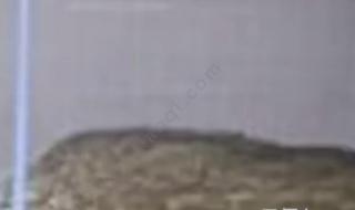 官方回应化粪池爆炸